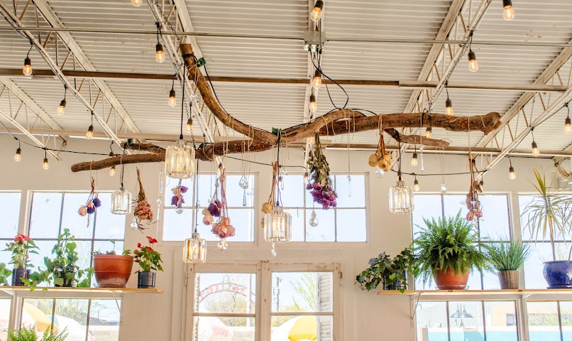 The Greenhouse by null