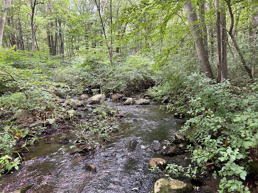 Camp Champlin - Visual