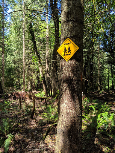 Enchanted Forest Trail - Thumbnail