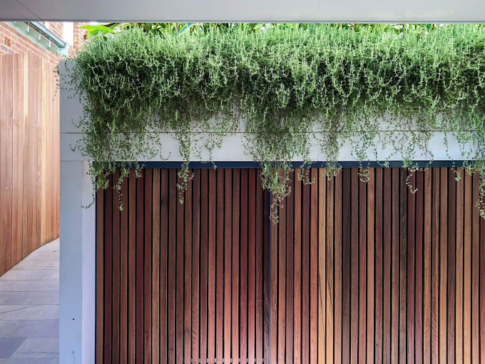 Achieving Zen: Japanese-Inspired Landscaping in Sydney