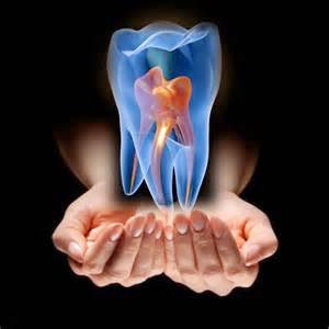 Dr. Olga Lipskaya - Thumbnail