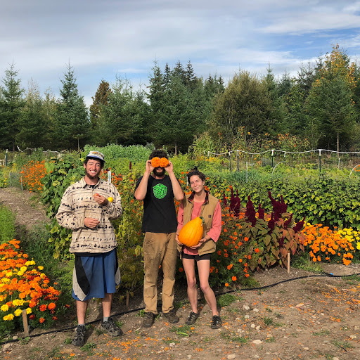 Stump Root Farm - Visual