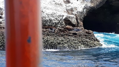 Photos of La cabeza del viejo