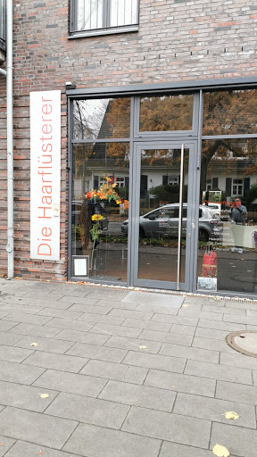 Die Haarfluesterer - Visual