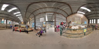 Streamvale Farm