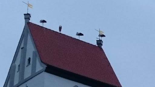 Evang. Kirchengemeinde Mehrstetten-Sondernach - Thumbnail