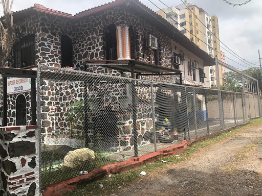 Carrillo Silvestri Asociados