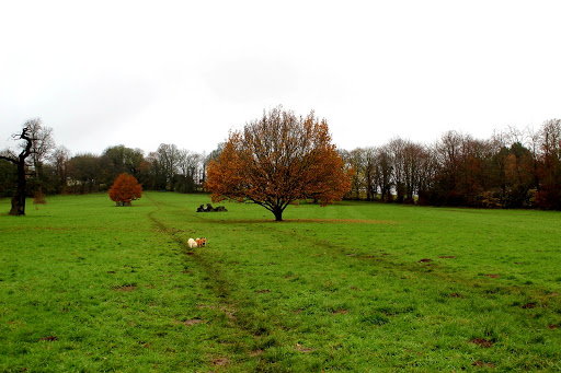 Oaken Drive Field