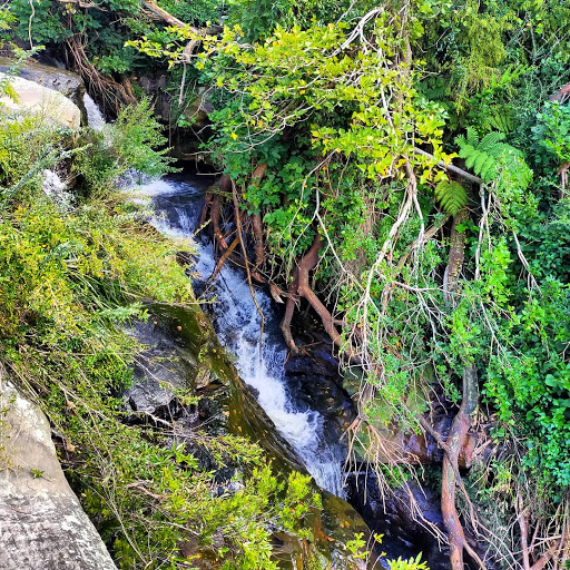 Oxford Falls Waterfall - Thumbnail