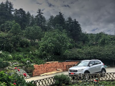 Photos of Damchoe's Homestay