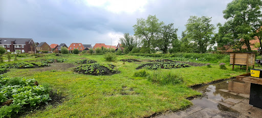 Stadstuin Techum - Visual