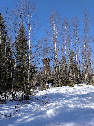 Photos of Bj&ouml;rk&ouml;