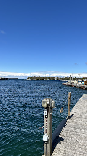 Tobermory Marina - Thumbnail