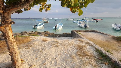 Photos of Akumal Beach