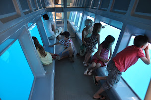 Photo n°14 de KapMer | Navettes - Promenades - Vision sous-marine - Dauphins à Argelès-sur-Mer (Agence d'excursions en bateau)