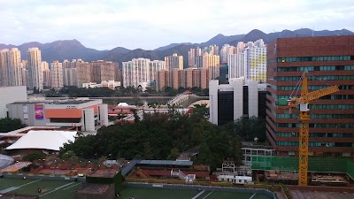 Photos of New Town Plaza