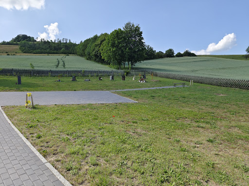 Friedhof Holungen