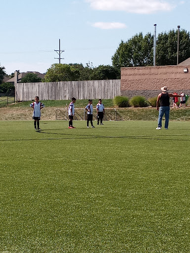 Field 7 - Visual