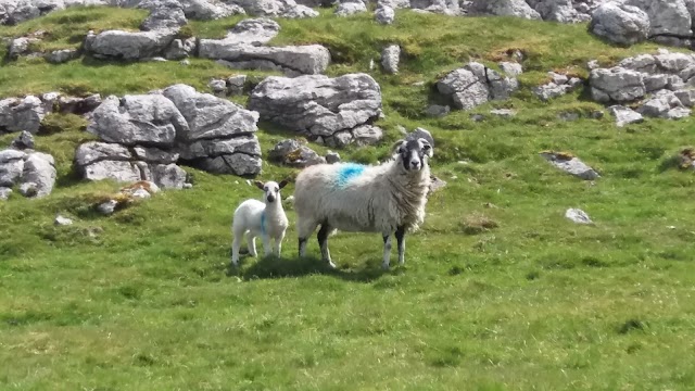 Gordale Scar