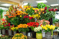 Le Val Fleuri à Mont-Saint-Martin