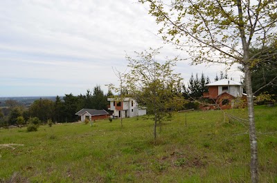 Photos of Caba&ntilde;as Alto Peleco