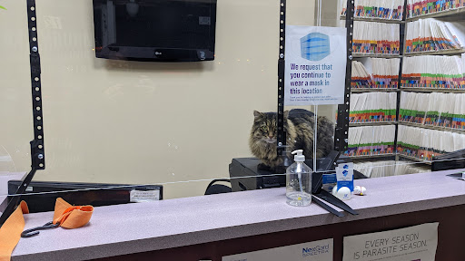 Rathburn Animal Clinic - Thumbnail