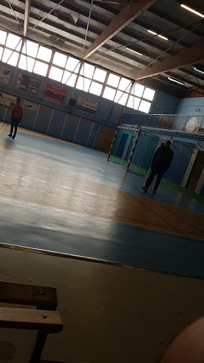 C.O.S.E.C. (Complexe Sportif Evolutif Couvert) - Thumbnail