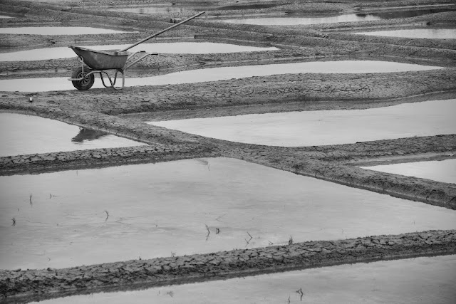 Marais salants de Guérande