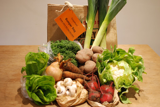 Pennine Cropshare