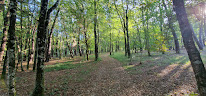 JARDI ATTI'TUDE à Montmoreau