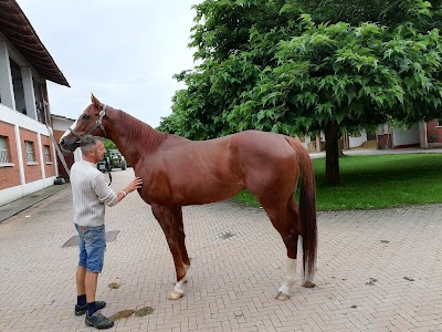 Centro Equino Arcadia, Cascina Bruciacuore