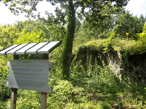 Burgruine Neuenstein Gallery - Germany