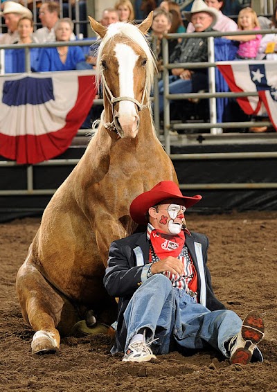 Steamboat Pro Rodeo