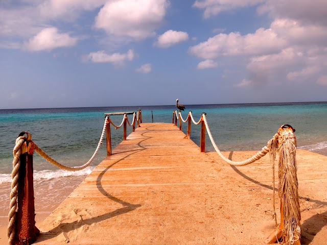 Central Dive Curaçao - Die Schweizer - Deutschsprachige Tauchschule