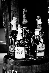 Photo n°19 de Le Comptoir Vins et Bières à Saint-Malo (Cave à vins)