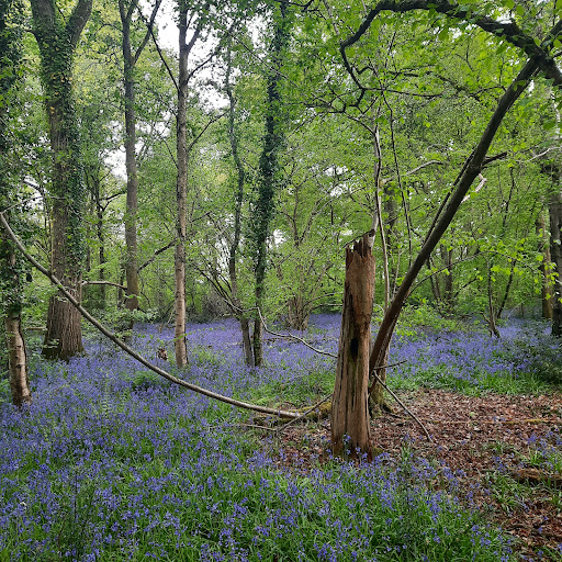 Holywell Estate - Thumbnail