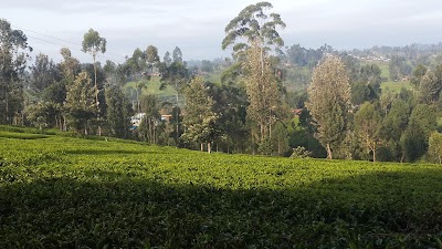 Photos of Njoki Tea Collection Center