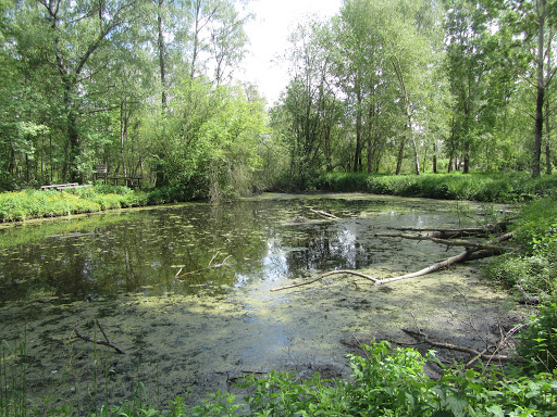 Stiftung Naturschutz Pfrunger-Burgweiler Ried - Thumbnail