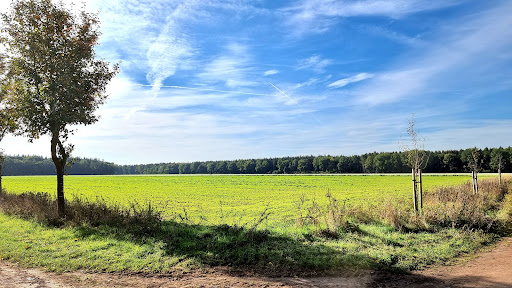 Wesselhof - Thumbnail