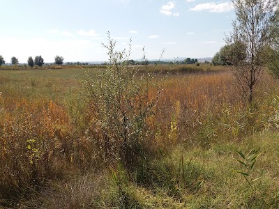 Photos of El Ca&ntilde;izar