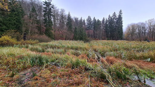 Parkplatz am Frau-Holle-Teich