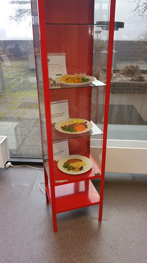 Matlusten - Visual
