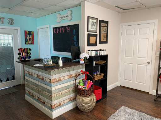 Jolly Mutt Pet Grooming Salon - United States