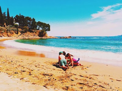 Photos of Hotel Carbonell **