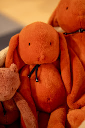 Photo n°25 de adbb autour de bébé Troyes à Saint-Parres-aux-Tertres (Magasin de jouets)