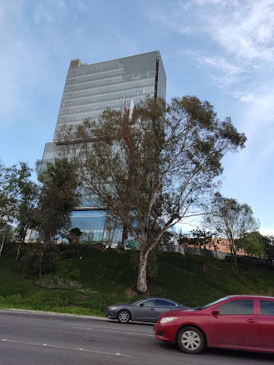 DEL PRADO MEDICAL TOWER - Thumbnail