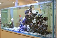 国立さくら通り耳鼻咽喉科眼科