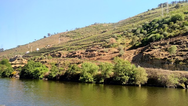 Peso da Régua