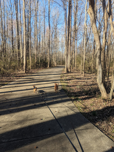 Lucille Creek Trail parking - Thumbnail