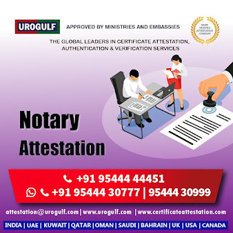 Af1qipo1u3d5rw5ky2 Rtuhjjvo2v251uwuedtdwaho4=s338 K No